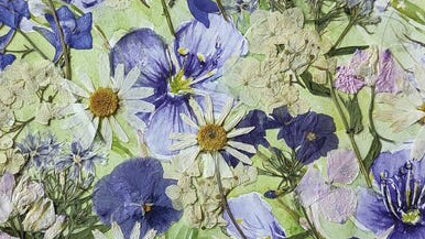 Blumen, Modelliermasse und Wasserfarben.